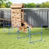 PawHut Agility Trainingsset met hindernissen en Productafbeelding-voorbeeld 2