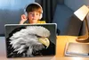 MuchoWow® Laptop Aufkleber Sticker Cover Tiere - Vogel - Produktbild-Vorschau 3