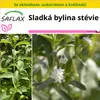 SAFLAX Kultivační sada - Sladká bylina stévie - Stevia Náhled obrázku produktu 10