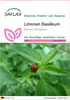 SAFLAX - Limonen Basilikum - Ocimum citriodorum - 200 Samen Produktbild-Vorschau 1