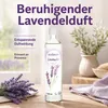 SODASAN izbová vôňa levanduľa náplň 500 ml Náhľad obrázku produktu 2