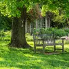 Relaxdays Baumgesicht 4-teilig, Baumstamm Deko, zum Hängen, Produktbild-Vorschau 5