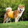 Hundewindel 3 Stück Pet Physiological Pants,Hündinnen und Produktbild-Vorschau 7