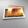 Gerahmtes Poster - Weißer Rahmen - Park Herbst Baum - 70x50 Produktbild-Vorschau 3