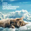 CADOCA® Haustierrucksack bis 12 kg verstellbare Gurte Produktbild-Vorschau 9
