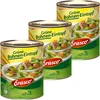 Erasco Grüne Bohnen-Topf mit erntefrischem Gemüse, 3er Pack Produktbild-Vorschau 1