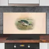 Coloray Küchenrückwand 120x60 Spritzschutz aus Glas - Vogel Produktbild-Vorschau 2
