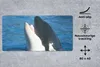 MuchoWow® Schreibtischunterlage Orca nahe der Produktbild-Vorschau 2