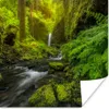 MuchoWow® Poster Schönes Bild vom Dschungel 75x75 cm - Wand Produktbild-Vorschau 1