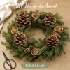 Pinienzapfen 10 Stück 8-12 cm Pinus pinea groß Tannenzapfen Produktbild-Vorschau 5