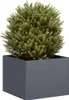 vidaXL Plantenpot, antraciet, 40x40x30 cm, staal Productafbeelding-voorbeeld 2