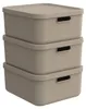Rotho Aufbewahrungsbox 3er-Set 20 l Albula Light – Produktbild-Vorschau 1