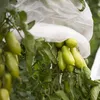 Tomaten Vlieshaube für 5-7 Tomatenstöcke weiß Produktbild-Vorschau 2