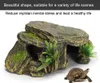 Habitat pour tortues et reptiles, cachettes, aquarium, Voir les images du produit 4