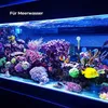 Thermometer mit Saugnapf – Für Süß- & Meerwasseraquarien Produktbild-Vorschau 6