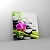 Bilder auf glas - Pflanze Steine Bambus Spa - 50x50cm - Produktbild-Vorschau 4