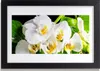 Bild 30x20 MDF-Rahmen Wandkunst Orchideen-Blumen-Natur Produktbild-Vorschau 1