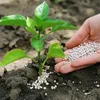 Ammoniumsulfat 2 l - Hochwertig - Nährstoffreich - Für Produktbild-Vorschau 11