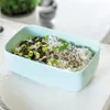 To Go & To Stay Lunchbox L eckig mineral Produktbild-Vorschau 5