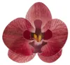 Květy z jedlého papíru orchidej růžová 10ks Náhled obrázku produktu 2