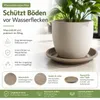 Pflanztopfuntersetzer Mira Taupe Ø 44cm - Frostsicher & Produktbild-Vorschau 5