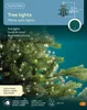 Lumineo Micro LED Baumbeleuchtung aus 672 LED grün weiß Produktbild-Vorschau 2