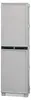 Allain - Armario Exterior, 50x39x172h cm Gris Claro, 3 Vista previa de la imagen del producto 2