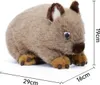 Realistisches Wombat Plüschtier, 26 cm, weiches Produktbild-Vorschau 2