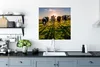 MuchoWow® Poster Kühe - Gras - Sonne 75x75 cm - Wand Produktbild-Vorschau 3