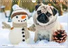 Mops-Mania - Der Spaßkalender für Mops-Fans (Wandkalender Produktbild-Vorschau 4
