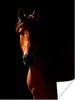 MuchoWow® Poster Pferd - Licht - Porträt 120x160 cm - Produktbild-Vorschau 1