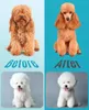 oneisall: tosatrice silenziosa per cani, tosatrice Anteprima dell’immagine prodotto 8
