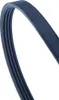Contitech Keilrippenriemen  4Pk970 Elast Produktbild-Vorschau 4