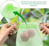 100 sacs de protection pour fruits, Sacs en filet pour Voir les images du produit 10