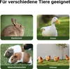 Wiltec Hasenstall grau-weiß 1220 x 630 x 920 mm mit Produktbild-Vorschau 8