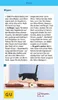 Katzen-Clicker-Box Produktbild-Vorschau 11