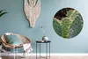 MuchoWow® Rundes Wandbild - Runde Bilder Botanischer Kaktus Produktbild-Vorschau 5