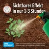 Roundup Unkrautfrei Express 3L Drucksprühgerät gegen Produktbild-Vorschau 3