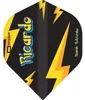 Datadart | Ricardo Pietreczko | Dart Flights | Standard | Produktbild-Vorschau 3