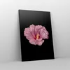 Bild auf Leinwand - Leinwandbild - Einteilig - Hibiskus Produktbild-Vorschau 4