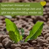 Blähton für Pflanzen 20L 8-16 mm Granulat Pflanzen Produktbild-Vorschau 7