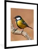 MuchoWow® Gerahmtes Poster Vogel - Kohlmeise - Zweige 60x80 Produktbild-Vorschau 1