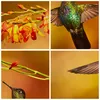 Bild auf Leinwand - Leinwandbild - Kolibri Vogel Sommer - Produktbild-Vorschau 8
