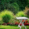 Table en plastique Adige – 45 cm x 43 cm x 50 cm Différents Voir les images du produit 16