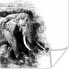 MuchoWow® Poster Elefant - Papier - Farbe - Schwarz - Weiß Produktbild-Vorschau 1