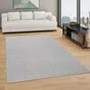 A modern living room with a white sofa, a grey rug, and a dark wood entertainment center. Anteprima dell’immagine prodotto