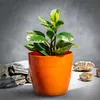 Vaso da fiori KADAX "Agen", fioriera, vaso da fiori rotondo Anteprima dell’immagine prodotto 4