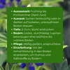 Samenshop24® Düngelupinen "Blaue Lupine", Gründünger & Produktbild-Vorschau 4