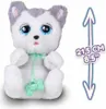 A plush toy dog with large blue eyes and a green ribbon around its neck, next to a size indicator. Produktbild-Vorschau