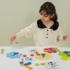 Viga Houten Match Kleurenspel Peacock Tail Montessori + Productafbeelding-voorbeeld 3